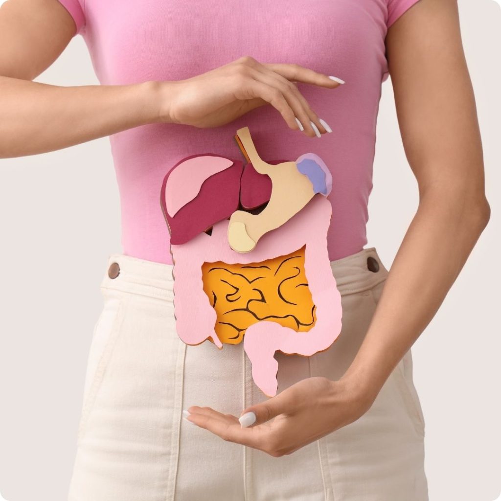 L’impact de la graisse viscérale sur le corps